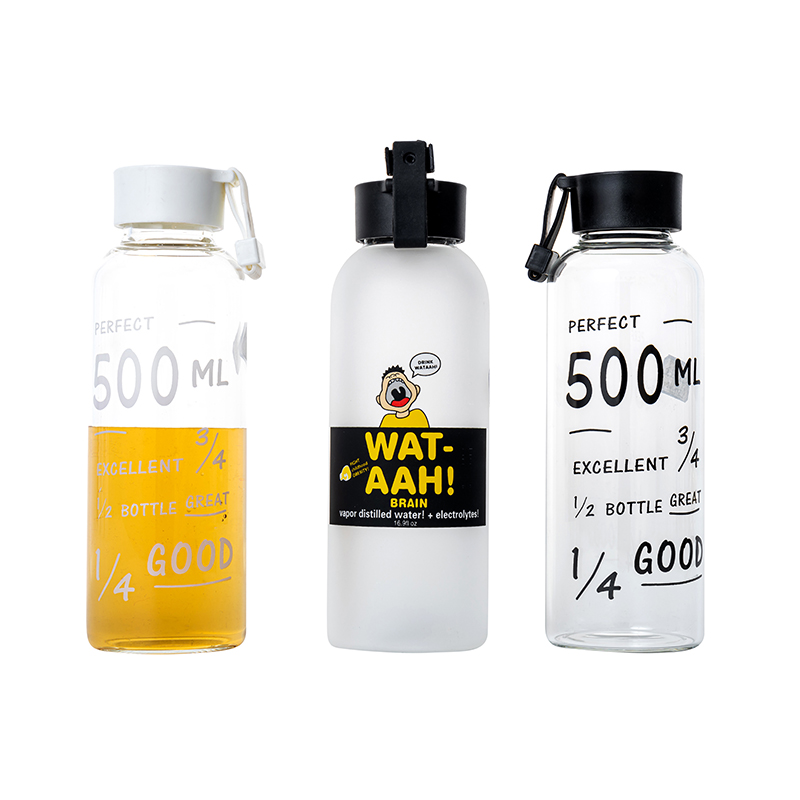 Bouteilles en verre de boisson de borusilicate 500 ml