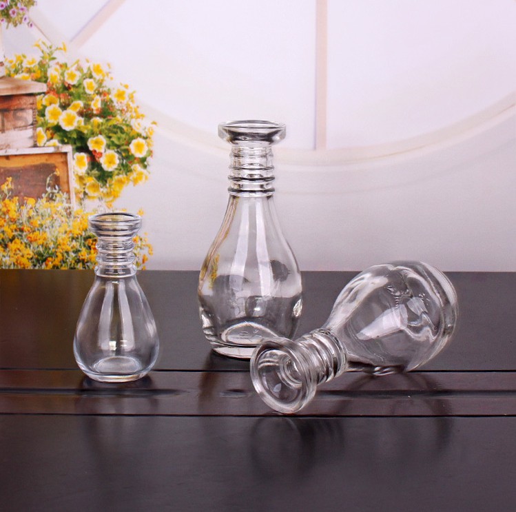 Décoration de la maison de vase à fleurs en verre clair fantaisie 120 ml