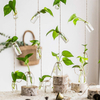 Petite Décoration De Noël Souhaitant Des Bouteilles Des Bouteilles En Verre Design Coloré